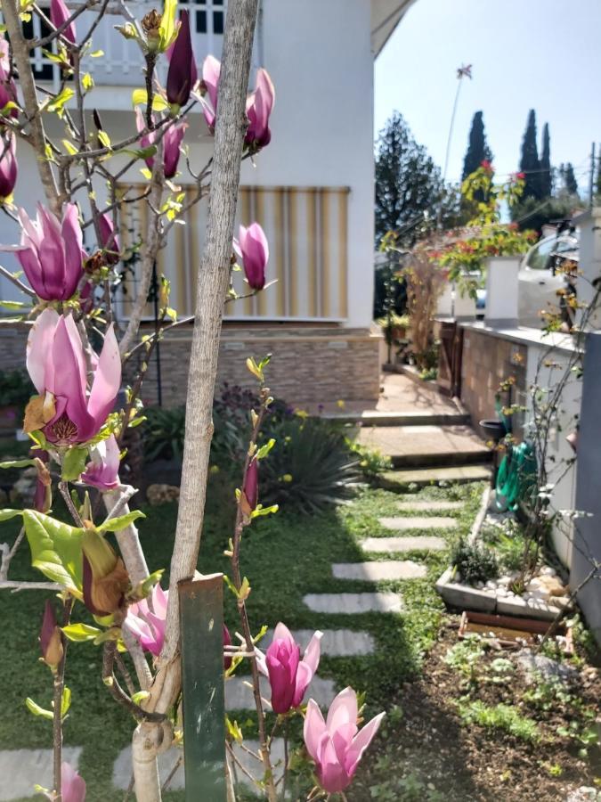 La Perla Della Conca D'Oro Villa Palermo Eksteriør billede